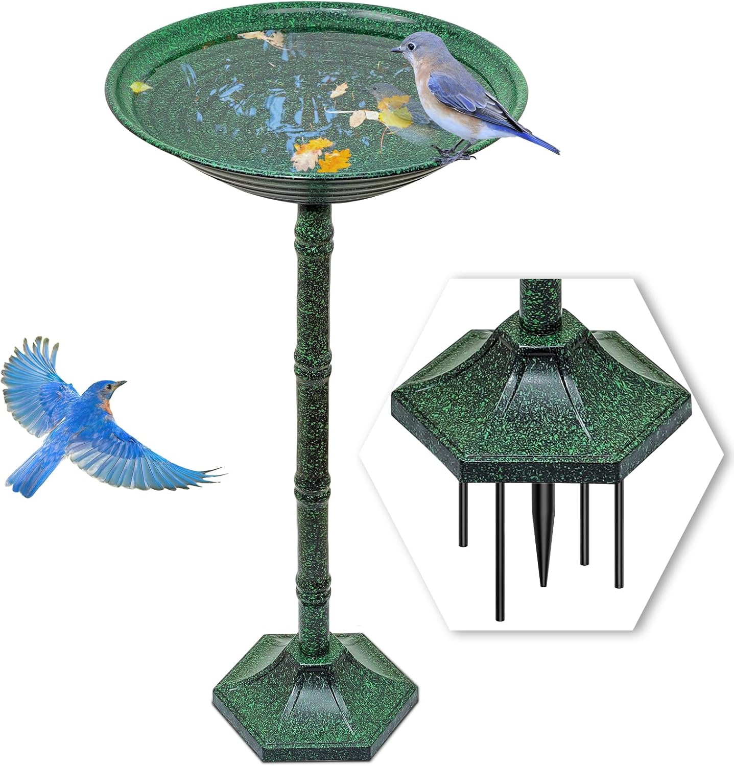 Backyard Birding & Wildlife