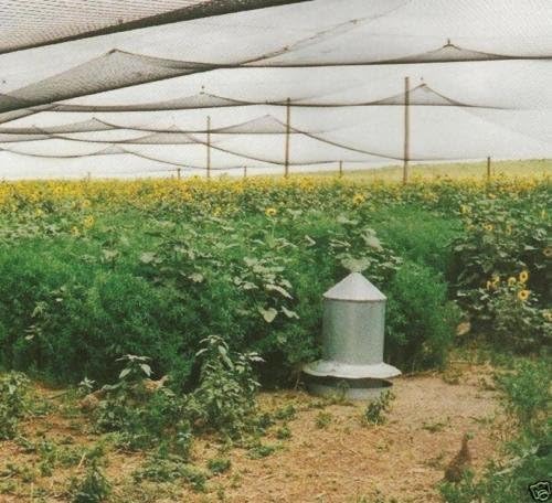 Poultry Netting 1" or 2" Mesh Heavy Knotted Nets Aviary Gamefowl Quail Chicken Bird Block Net Long Lasting Break/Burst 85/245 lb Polyethylene 8-10 Year Lifespan (50' X 50', 1)