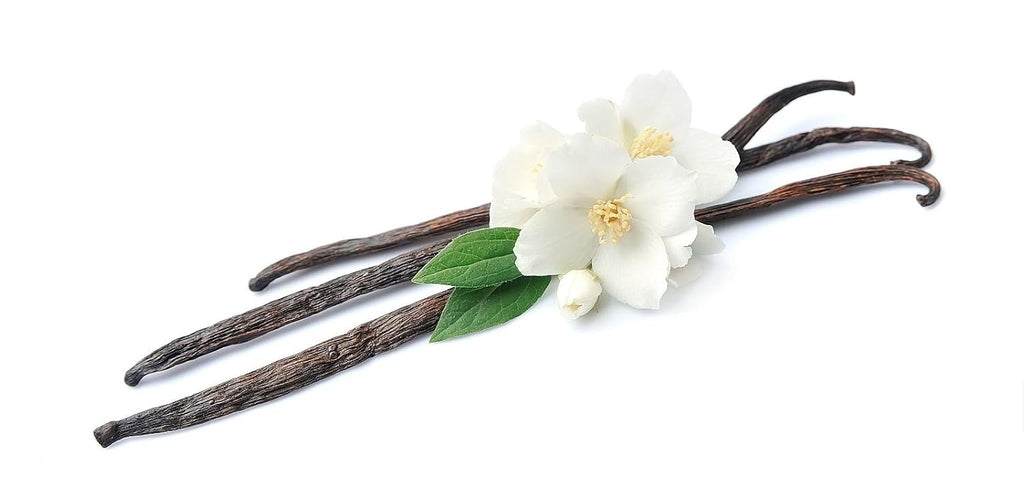 50 Organic Madagascar Vanilla Beans - Grade A 5"-7" Gourmet Bourbon for Natural Homemade Pure Extract and Baking & Cooking