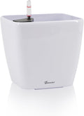 Dexceder 9x8 Self Watering Planter Indoor Outdoor, Inner Mat Design, Thickened Table Flower Plant Pot with Water Level Indicator (White High Gloss)