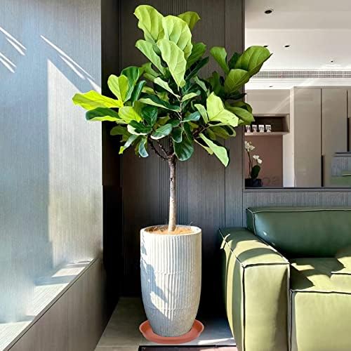 4 Pack of 16 inch Plant Saucer, Heavy Duty Plastic Saucer 16" Round, Plant Trays for Pots, Flower Plant Saucers for Indoors, Plant Trays for Planter 14"/15"/16" (16 inch, Terracotta)