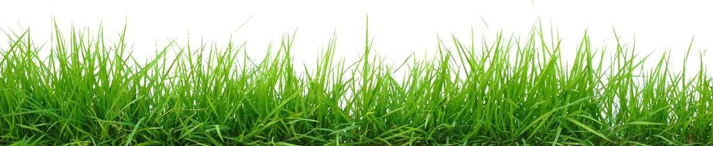 Brownie Brand Majestic Hulled Bermudagrass Seed | Premium Turf Grass for Dense, Drought-Resistant Lawns | Fast-Growing, Heat-Tolerant, Certified Seed for High-Traffic Areas. (50 Pound)
