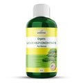 Organic Premium Seaweed Fertilizer for All Bonsai - Liquid Kelp Plant Food - Nutrient-Rich Liquid Plant Food & Soil Enhancer for Growth Control (8 OZ)