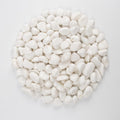 20 lbs White Polished Garden Stones, 0.5-1 Inch Decorative Rocks for Landscaping, Pathways, Yard Borders, Pots, Aquarium Decoration, and DIY Craft Projects (Pure White, Weight: 20 LB)