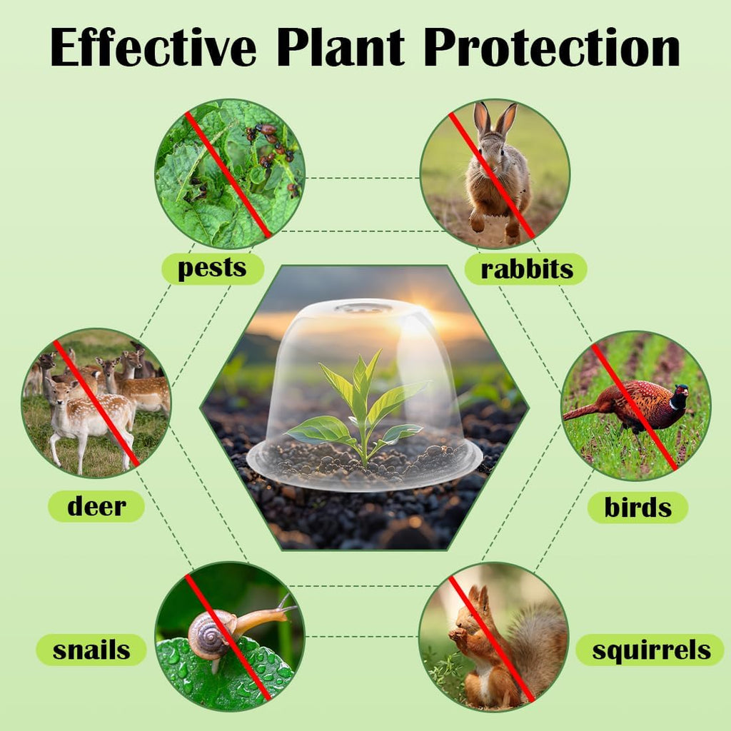 Plant Protectors from Animals 5-Pack, 10" D × 6.7" H Garden Cloches for Seedlings Nursery Pots, Clear Plant Covers, Mini Greenhouse for Plants, Durable Humidity Domes with Ventilation Holes