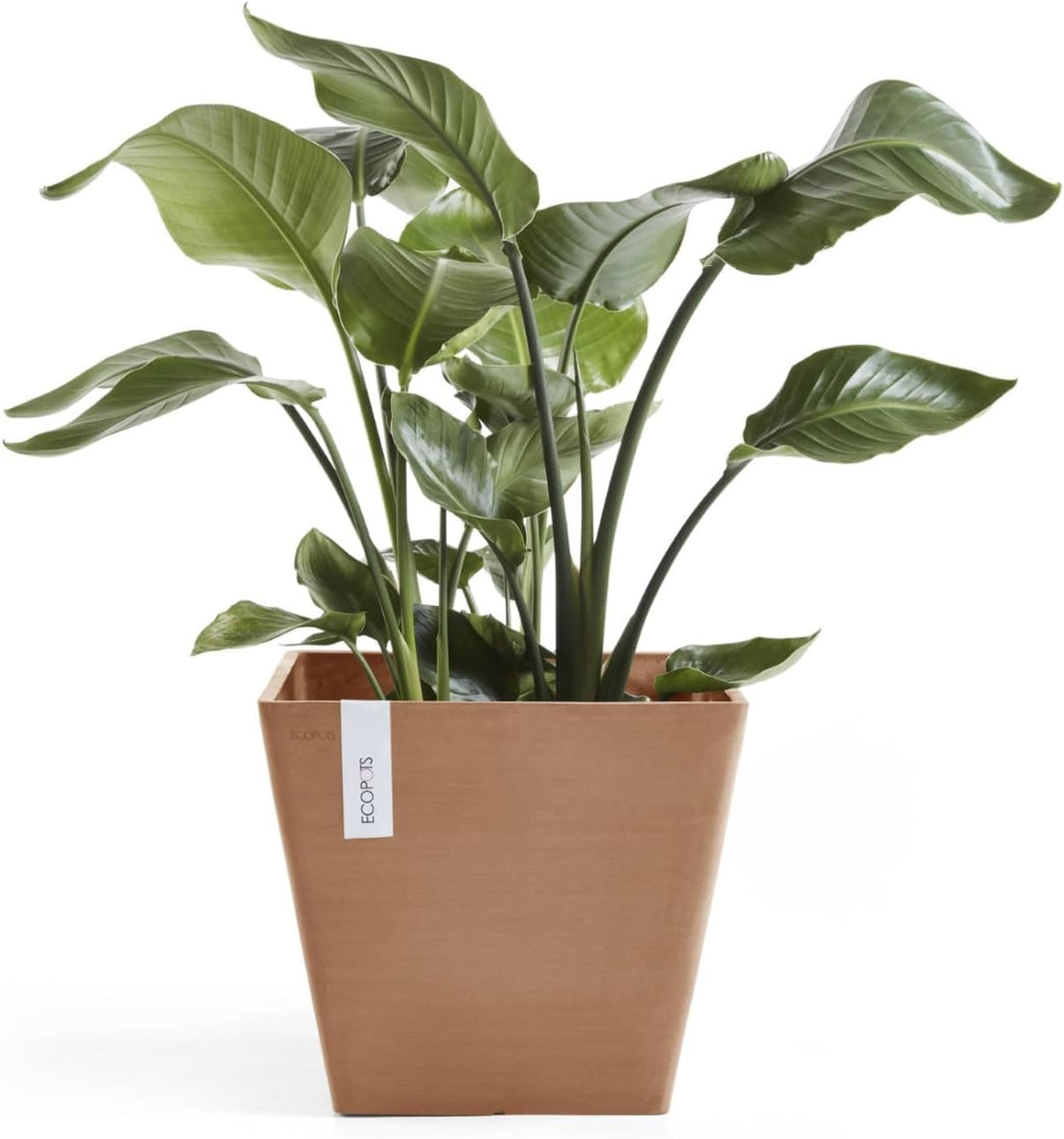 Ecopots Rotterdam Durable Modern Square Indoor/Outdoor Recycled-Based Composite Flower Planter, Terracotta Color, 15.75"