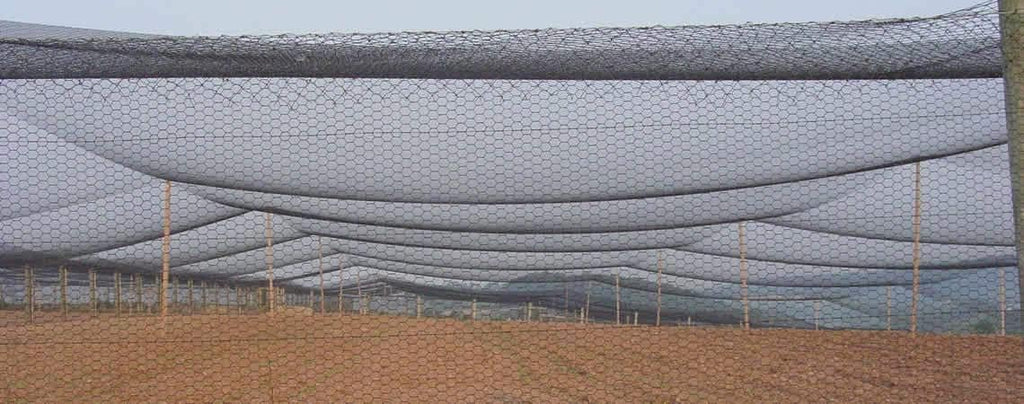 Poultry Netting 1" or 2" Mesh Heavy Knotted Nets Aviary Gamefowl Quail Chicken Bird Block Net Long Lasting Break/Burst 85/245 lb Polyethylene 8-10 Year Lifespan (50' X 100', 2)