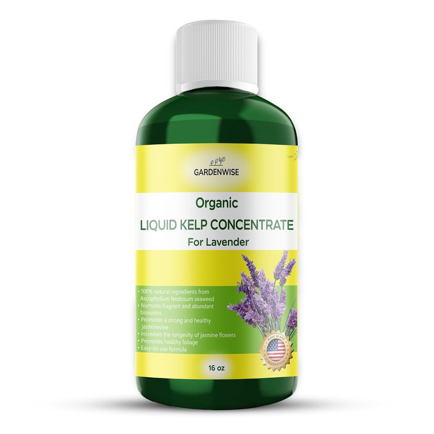Organic Seaweed Fertilizer for Lavender - Rich Nutrients Kelp Fertilizer for Plants | Indoor & Outdoor Use - Liquid Plant Food (16 OZ)