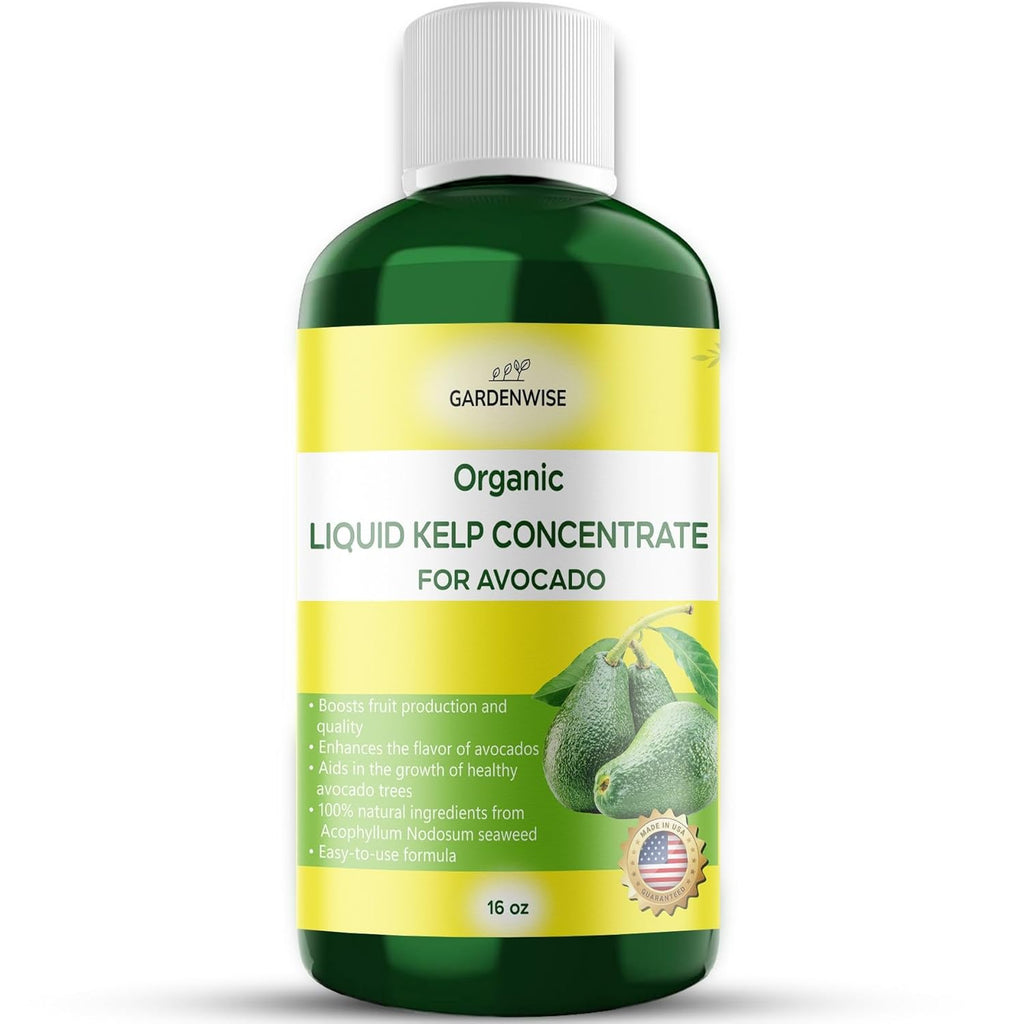Organic Premium Kelp Seaweed Fertilizer - Liquid Plant Food - Nutrient-Rich Soil Enhancer - Improves Fruit Yield and Quality - Natural Plant Food for Avocado Tree (16 OZ)