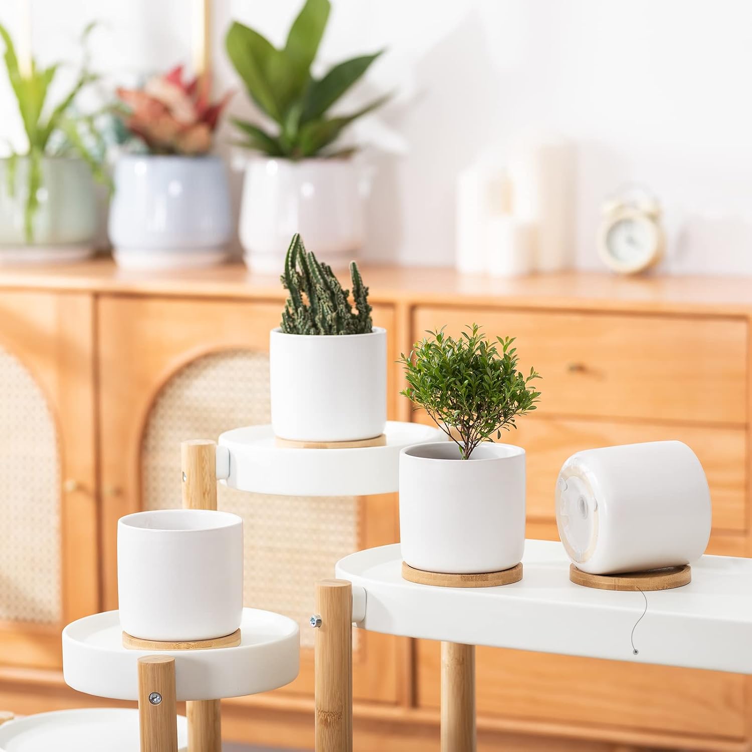 OMAYKEY 4 Inch Ceramic Plant Pot with Saucer, White Planters Pots with Drainage Hole and Mesh Pads for Succulent, Snake, Cactus, Herbs - 4 Packs(Plant Not Included)