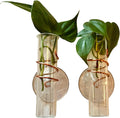 The Little Window Propagator | Window Propagation Station with Removable Glass Tubes, Indoor Plant Clippings, Cut Flowers, Herbs, Succulents | Home Decor | Plant Lover Gift (2)