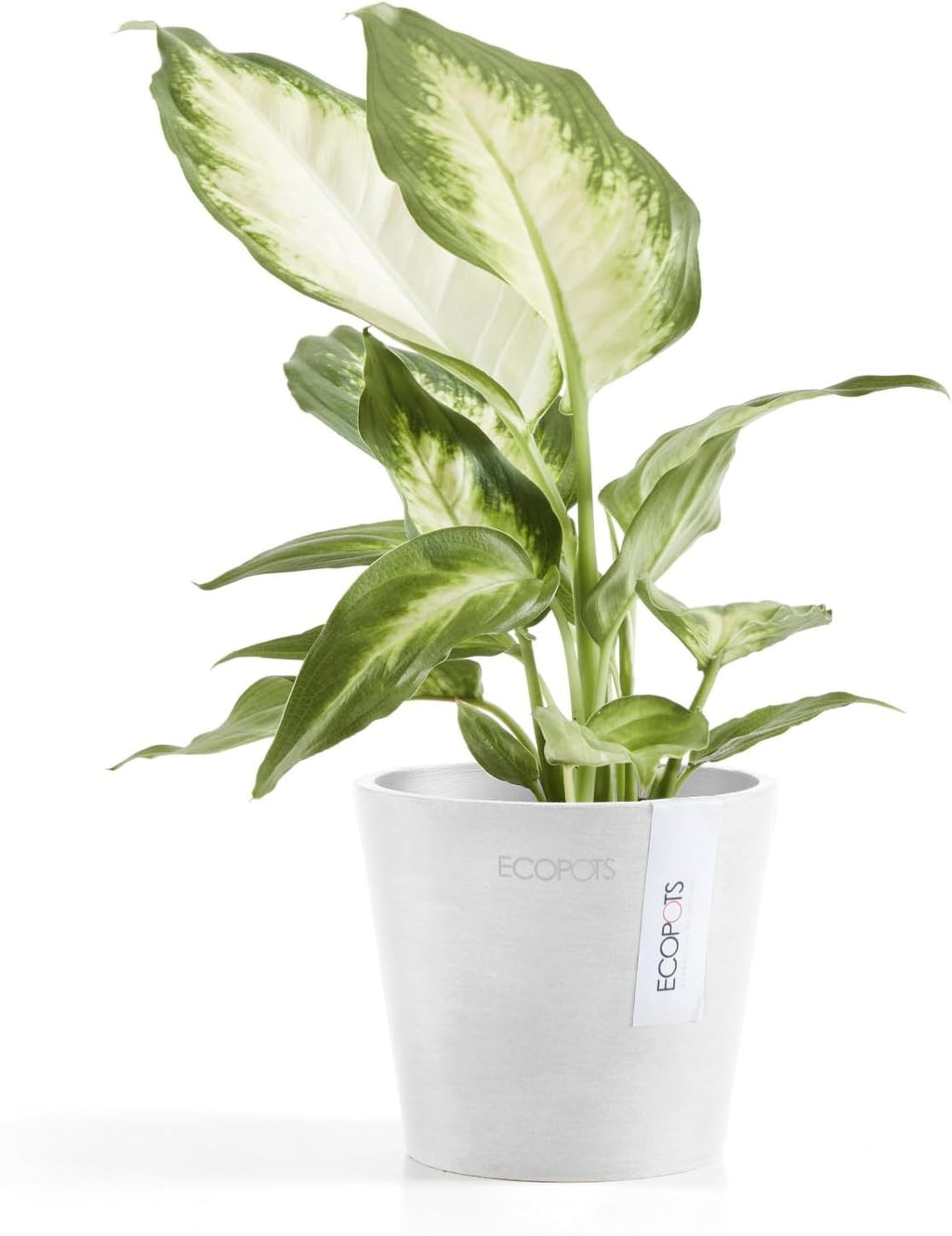 Ecopots Amsterdam Mini Durable Modern Round Recycled-Based Composite Flower Pot Planter, Pure White, 4"