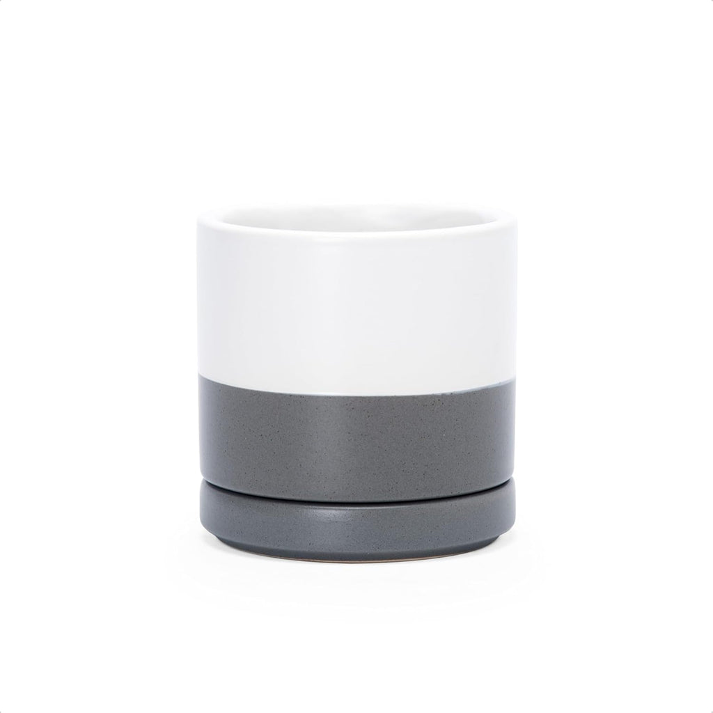 D'vine Dev 3.5 Inch Ceramic Planter Pot with Drainage Hole and Saucer, Indoor Cylinder Round Planter Pot, White/Speckled Grey, 94-O-A-6