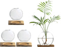 Glass Planter Propagation Station with Wooden Base - Clear Oblate Hydroponic Vase, Decorative Desktop Flower Vase for Home, Office, Windowsill - Gift for Plant Lovers (4)