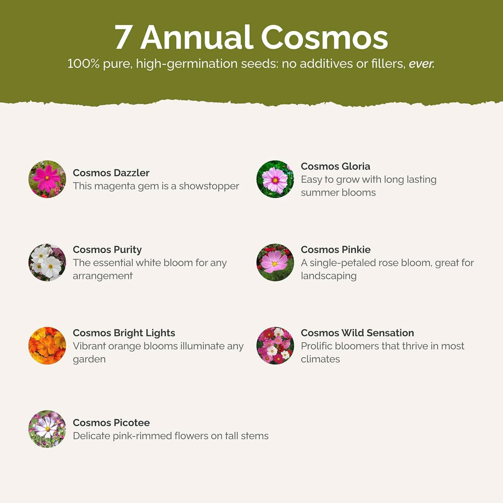 Eden Brothers Crazy for Cosmos Flower Mixed Seeds for Planting, 1 lb, 480,000+ Seeds with Cosmos Gloria, Pinkie, Purity | Attracts Pollinators, Plant in Spring or Fall, Zones 3, 4, 5, 6, 7, 8, 9, 10