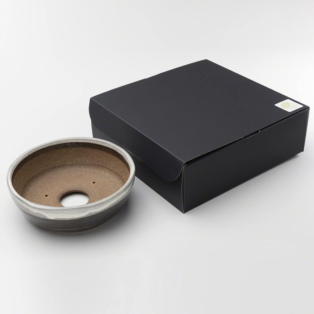 Wazakura Shigaraki Series Handmade Stripe Glazed Ceramic Bonsai Pot with Drainage, 6.6 in (170 mm) Made in Japan, Garden Training Container & Planter - White Stripe Small Size