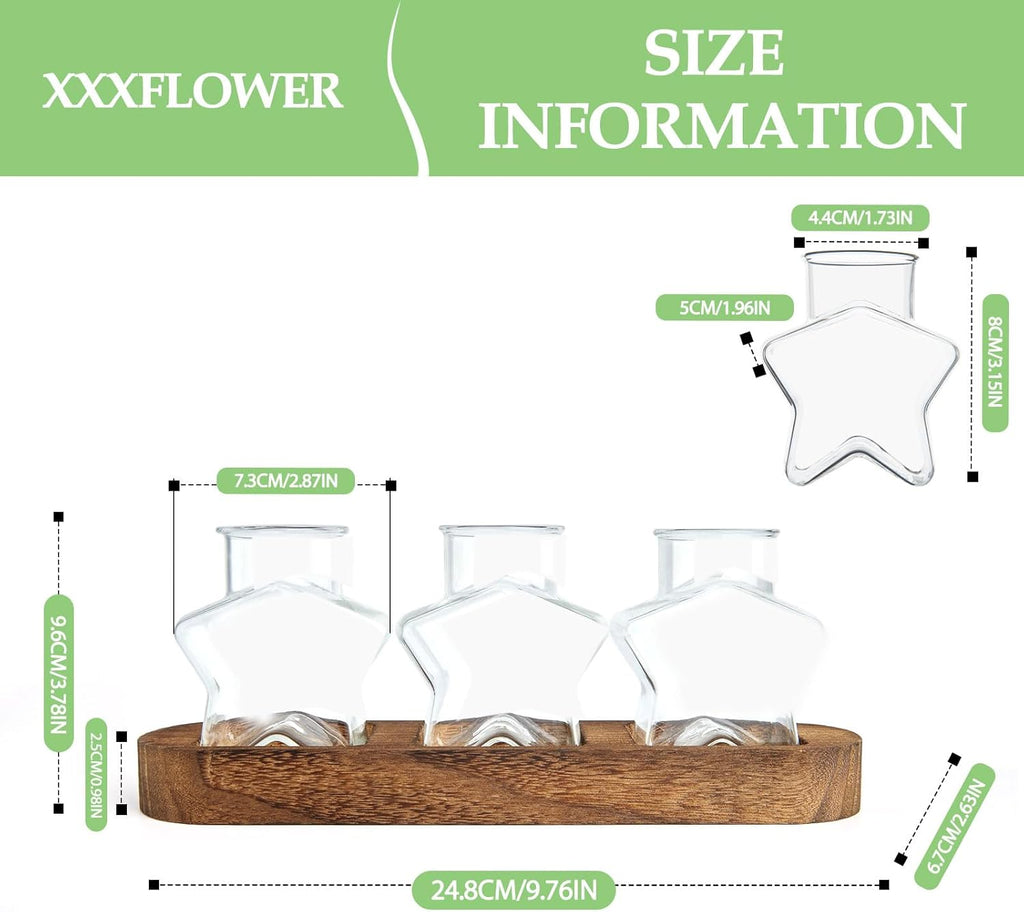 XXXFLOWER Plant Propagation Station with Wooden Stand，Air Plant Terrarium Starter Kits Star Vases for Flowers Plant Cutting Rooting Pots Indoor Hydroponic Glass Planter for Plant Lovers,3 Jars