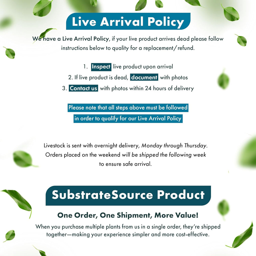 Live Aquarium Stem Plants - Freshwater Aquatic Plant for Fish Tanks, Aquascaping - (Moneywort Bacopa Monnieri, 1 Bunch)