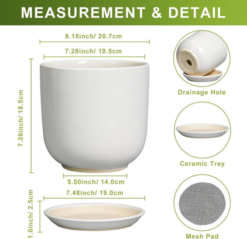 Ceramic Plant Pot - Modern 8 Inch Round Planter for Indoor Outdoor Plants with Drainage Hole and Saucer, Home House Room Office Decor, White