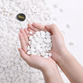 SIDONG 5 LB White River Rocks, 0.3-0.5 Inches Matte Pebbles for Indoor Plants, Aquarium Rocks Used in Fish Tank, Decorative Stones for Plants, Vases, Home Décor, Crafting, Garden Landscaping