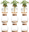Plant Propagation Station,Hydroponic Glass Container Vase Jars, with Wooden Saucer for Desks, Houses, Garden Decorations, Home Kitchen Decorations and Gifts for Plant Lovers (9)