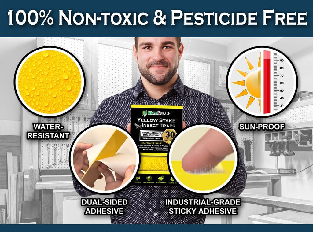 MAXGUARD (30 Pack) Yellow Stake Sticky Insect/Bug Traps - Catch and Kill Fungus Gnats, Whiteflies, Mosquitos, Aphids, Leaf Miners, Flying Insect Catcher Glue Trappers for Indoor or Outdoor