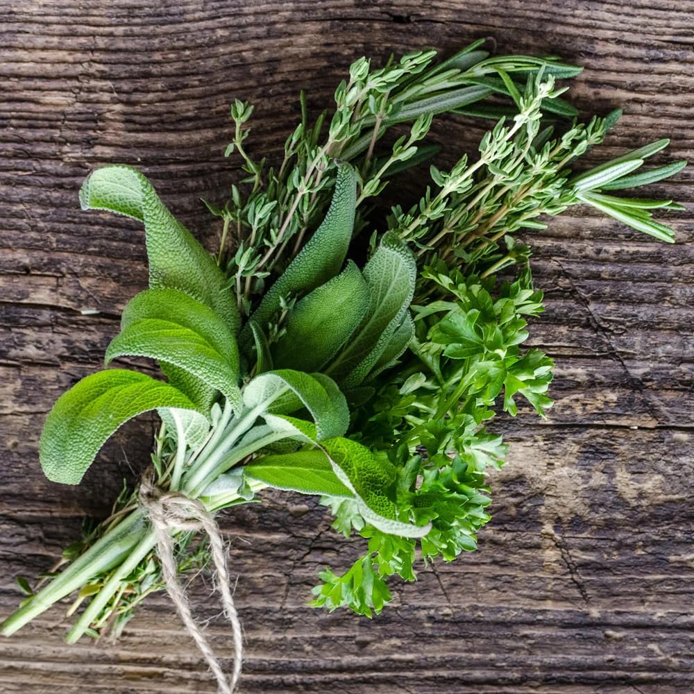 German Thyme Plants - Perfect for Indoor or Outdoor Gardening, High in Antioxidants, Fragrant and Flavorful Herb (4 ger Thyme Bags)
