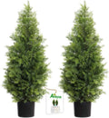 Aveyas 3ft Artificial Cedar Topiary Trees for Outdoor Front Porch Door, 3 Feet Faux Potted Plants Evergreen Fake Pine Cypress Tree for Outside Home Decor (3 ft Tall) - Set of 2 Pack