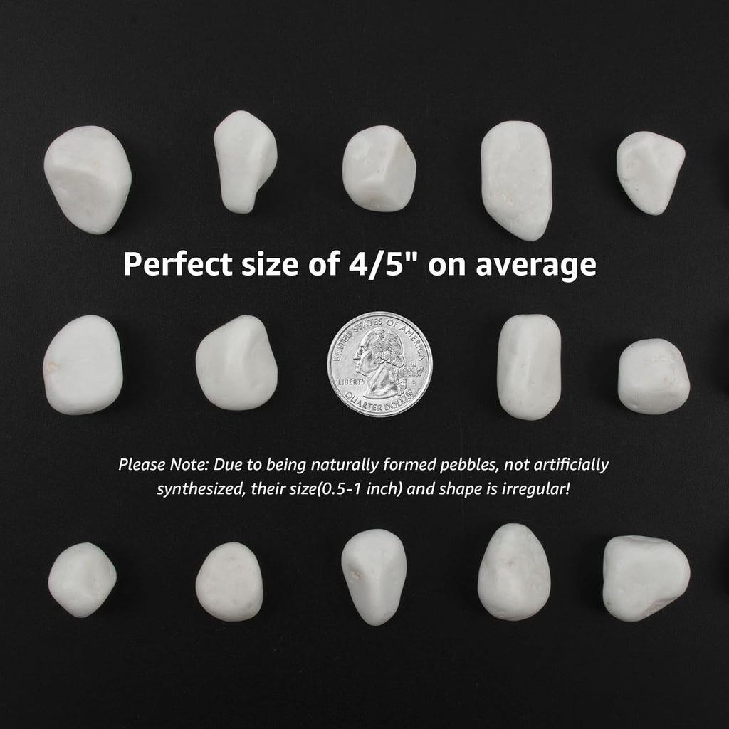 20 lbs White Polished Garden Stones, 0.5-1 Inch Decorative Rocks for Landscaping, Pathways, Yard Borders, Pots, Aquarium Decoration, and DIY Craft Projects (Pure White, Weight: 20 LB)