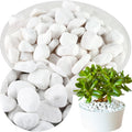 17.6 Lbs Natural River Rocks for Plants 1''-2'' Large Landscaping Garden Stones White Aquarium Gravel Decorative Pebbles for Indoor Outdoor Planters, Big Terrarium Rocks in Bulk, Home Decor