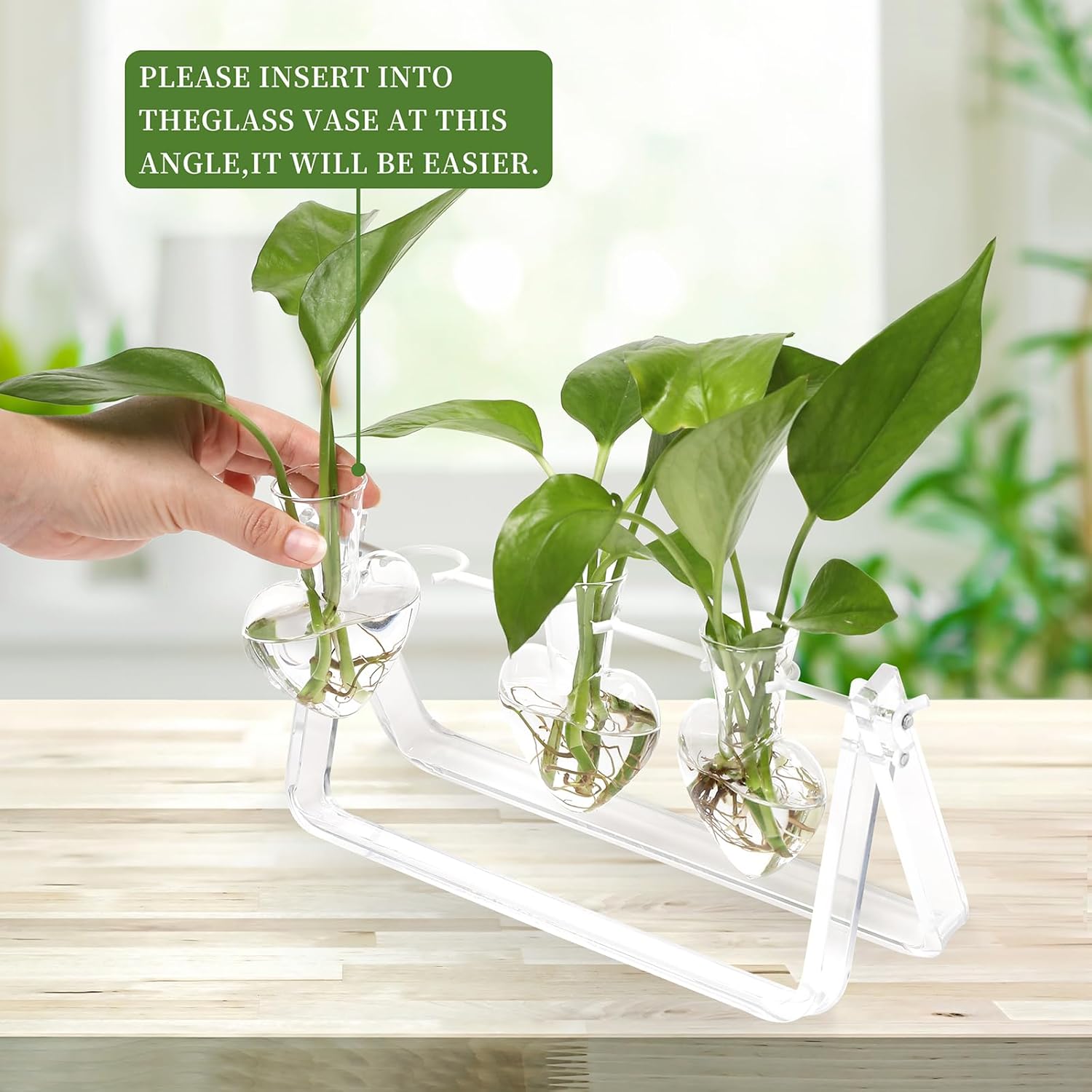 Plant Terrarium Propagation Stations with Acrylic Stand Birthday Gifts for Women Plant Stand Indoor Office Home Decor