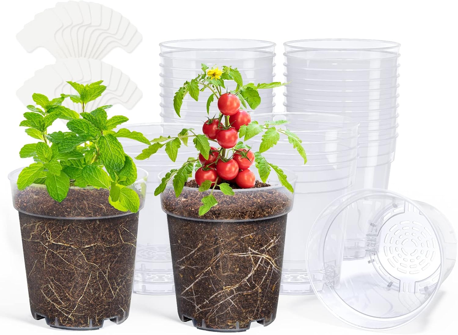 homenote Clear Nursery Pots for Plants,5 Inch Plant Pot for Planting Plastic Seedling with Drainage Holes Seed Starter Flower High Transparency with 20 Labels (30 Pack)
