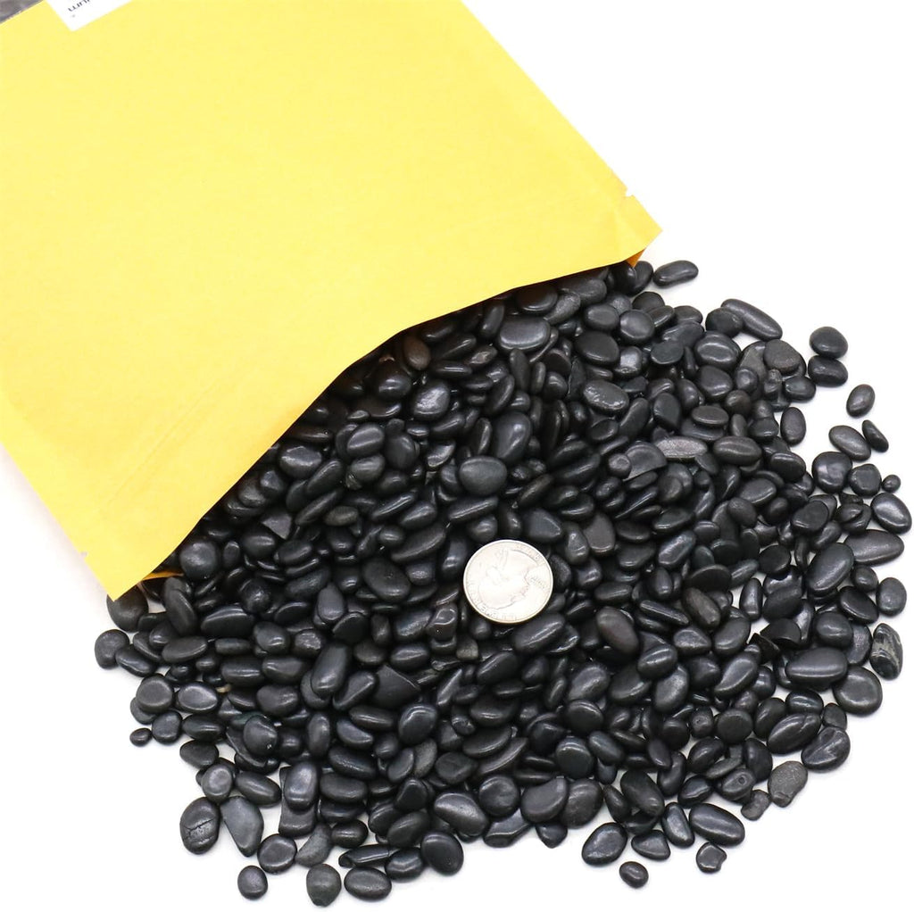 Black Rocks for Plants. Polished Decorative Pebbles. 1/5 Inch 10 lbs. for Garden, Landscaping, Vase fillers, Succulents, pots (Mini, Black, 10)