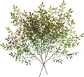 Dremisland Artificial Plant 43.3 Inch Artificial Bamboo Plant Branch 2 Pcs Artificial Green Stems Lucky Bamboo Plants Fake Shrubs Plants Autumn Bushes for Home Office Garden Decor (Yellow Green)