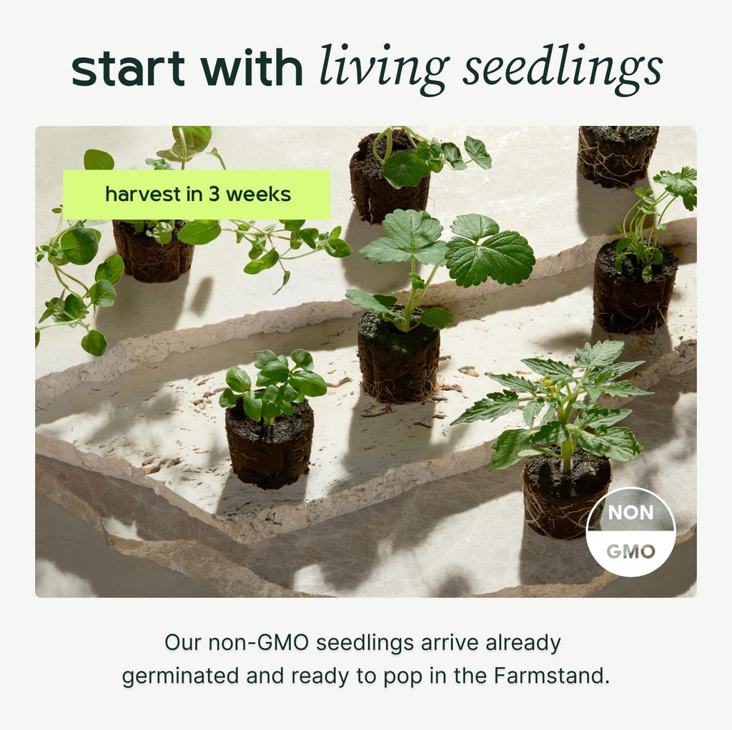 Farmstand Starter Kit + 12 Seedling Credits | Tiny Hydroponic Growing System Kit | Self-Watering Outdoor Vertical Garden Planter Tower | 3ft 8in | Made in USA