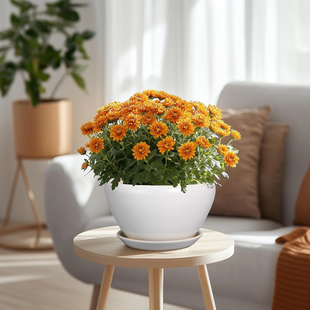 Ceramic Planter - 9 Inch Plant Pot Indoor with Drainage Hole and Saucer for Outdoor Plants Mid-Century Round Planter Modern Flower Pot for House Garden White