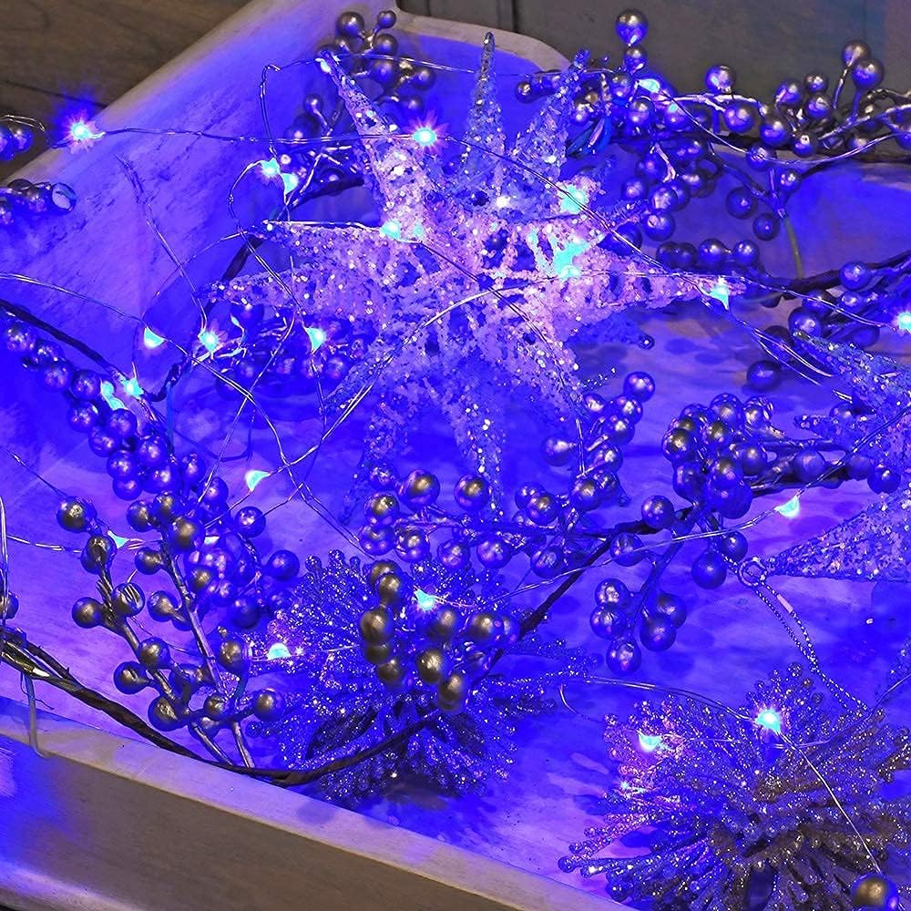 2 Pack Solar Powered Fairy String Lights Outdoor Waterproof 8 Modes Twinkle Christmas Decorations Lights, Each 33ft-100LED, 40ft-120LED, 66ft-200LED, 80ft-240LED, (Blue, 66)