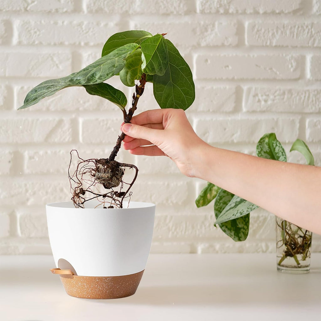 5Pack Self Watering Plant Pots for Lazy People, 7/6.5/6/5.5/5 Inch,White Plastic Self Watering Planter for All Houseplants,Succulent, African Violets,Snake Plants, Flowers and Cactus