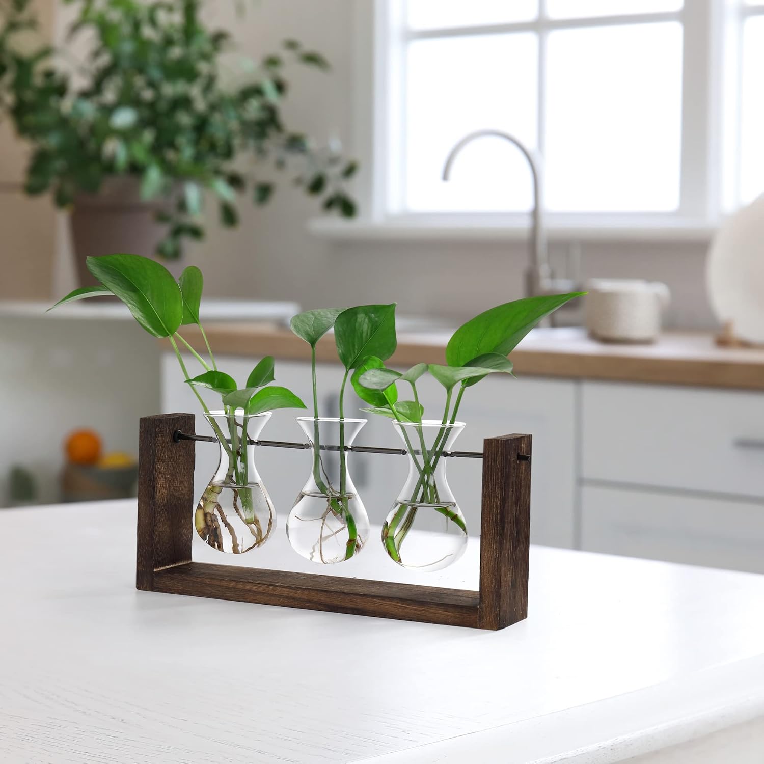 YIBOT Wall Hanging Planter Propagation Station, Plant Terrarium with Wooden Stand, Hydroponics Plants Home Office Living Room Decor Gift-3 Bulb Glass Vases