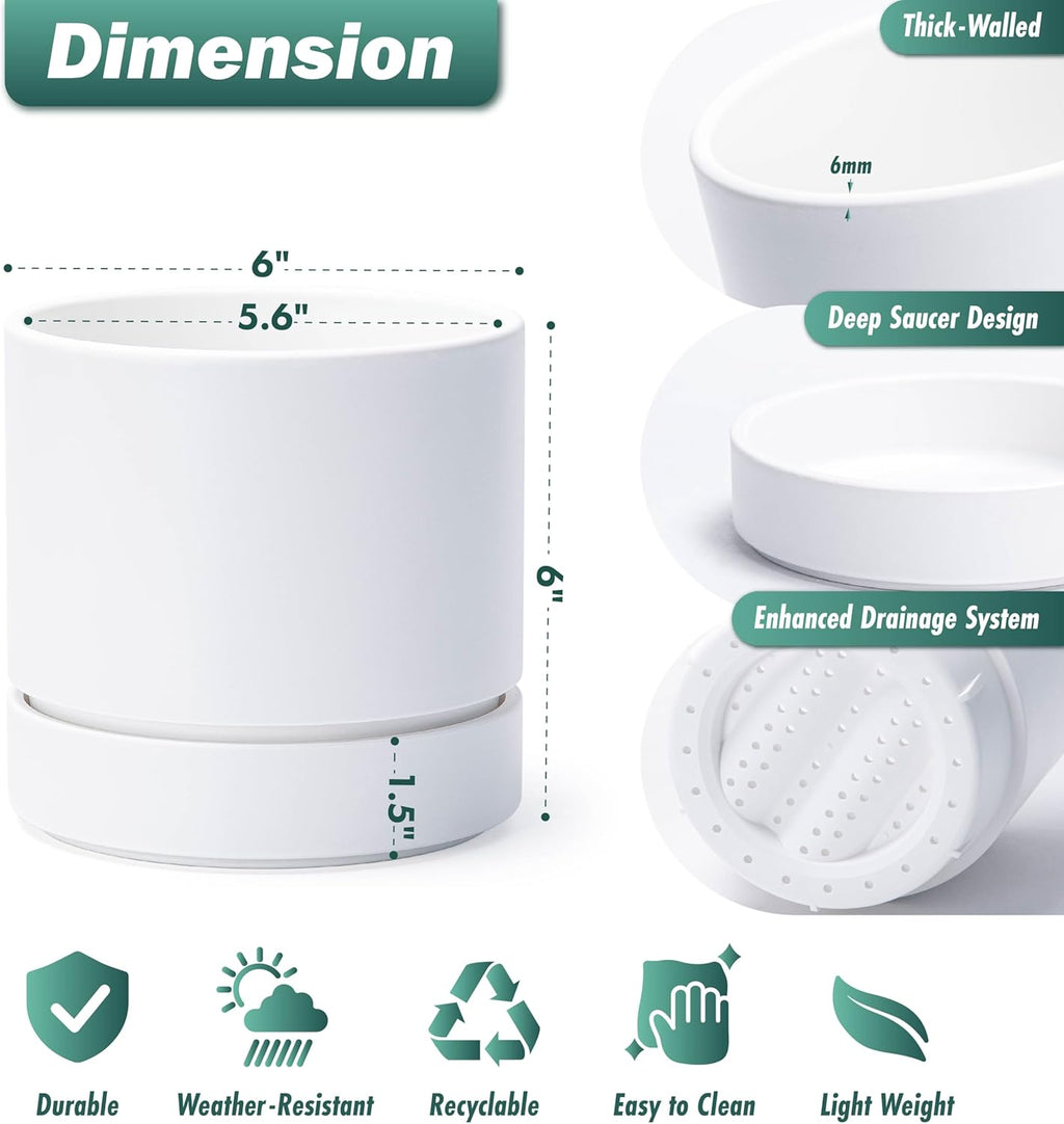 Phoenix Vine 6 Inch Planter Pot with Drainage Hole & Saucer, Deep Water Catch Tray, Straight Cylindrical Round Pot for Plants, Matte White, Pack of 3, 23-B-S-3