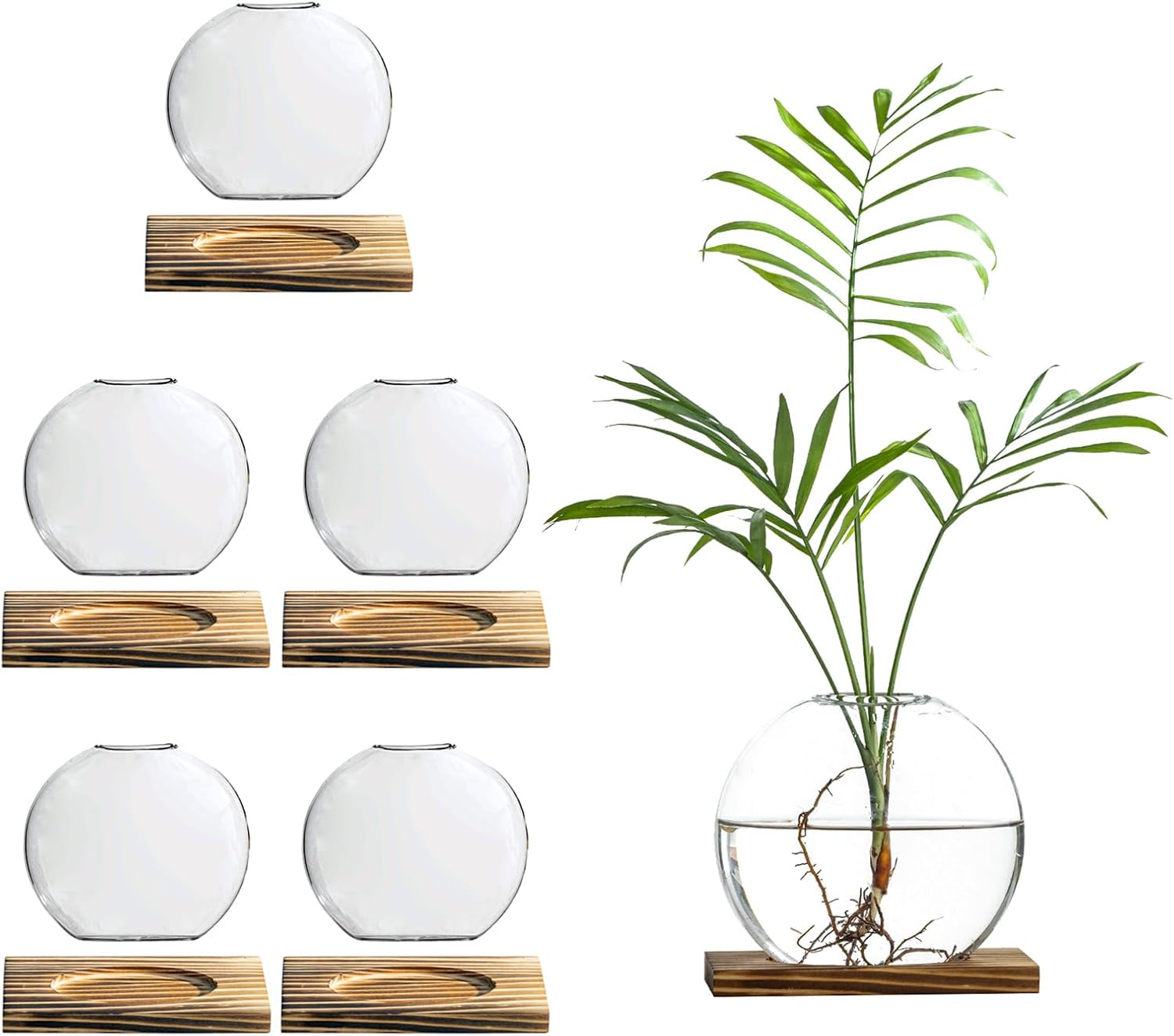 Glass Planter Propagation Station with Wooden Base - Clear Oblate Hydroponic Vase, Decorative Desktop Flower Vase for Home, Office, Windowsill - Gift for Plant Lovers (6)