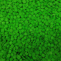 Homankit Edible Green Sprinkles St. Patrick's Day Themed Sprinkle for Cake Decorating Baking Cupcake Toppers Cookie Decorating Ice Cream Celebration 3 Ounces