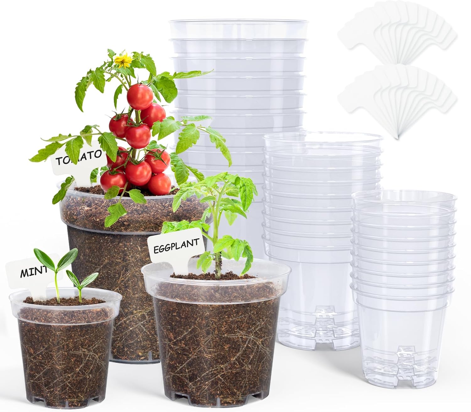 homenote Clear Nursery Pots for Plant,3/4/5 Inch Plant Pot for Planting Plastic Seedling with Drainage Holes Seed Starter Flower High Transparency 20 Labels Excellent Hardness(30 Pack)