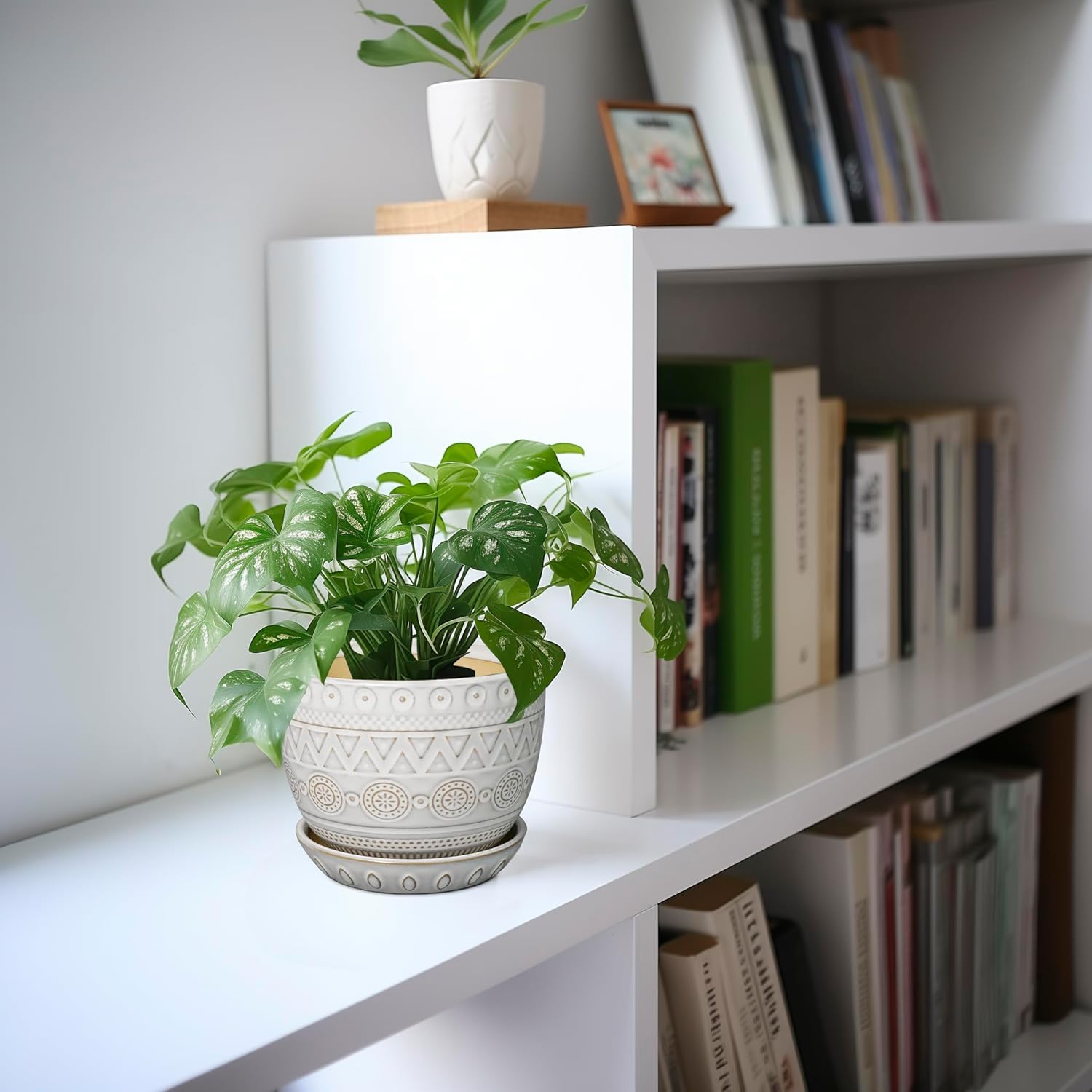 G EPGardening Ceramic Planters for Indoor Plants - 5 Inch Plant Pot for Outdoor Plants Succulent Planter with Drainage Hole and Saucer Flower Pot for Room Decor White