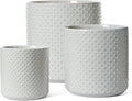 LE TAUCI Ceramic Plant Pots Indoor, 10+8+6 Inch Planters for Indoor Plants, Raised Dots Flower Pots with Drainage Hole and Plug, Cylinder Round Planters, Set of 3, Glaze Star Gray