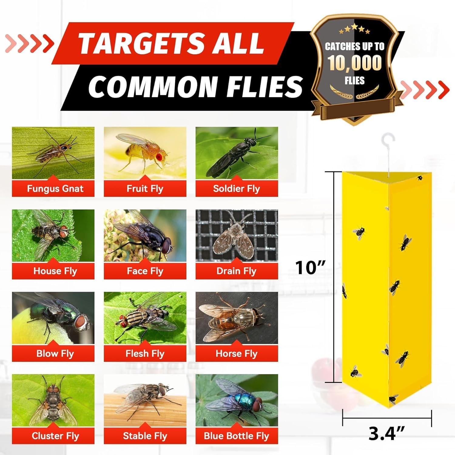 LULUCATCH Sticky Fly Traps, 10 Pack Fly Traps Indoor with Hanging Hook, Odorless Yellow Sticky Gnat Traps for Mosquitoes, Non-Toxic Bug Catchers for Fleas, Drain Flies, Moths, Insects
