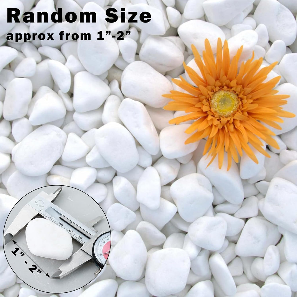 17.6 Lbs Natural River Rocks for Plants 1''-2'' Large Landscaping Garden Stones White Aquarium Gravel Decorative Pebbles for Indoor Outdoor Planters, Big Terrarium Rocks in Bulk, Home Decor