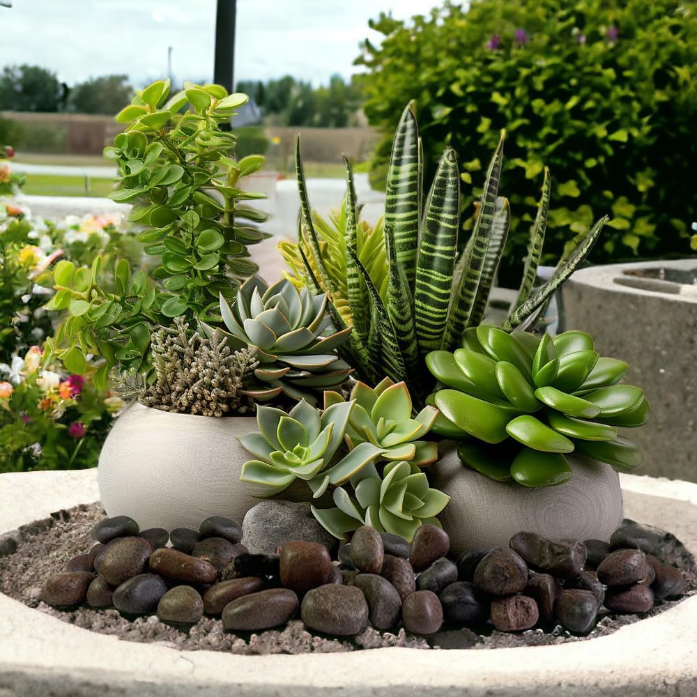 HappyFiller Natural Decorative Pebbles Polished Rocks Stones for Aquarium,Fish Turtle Tank,Outdoor Indoor Plants Top Dressing,Succulents Soil Cover,Garden Landscaping,2 LB,Red Mix,0.8-1.6"