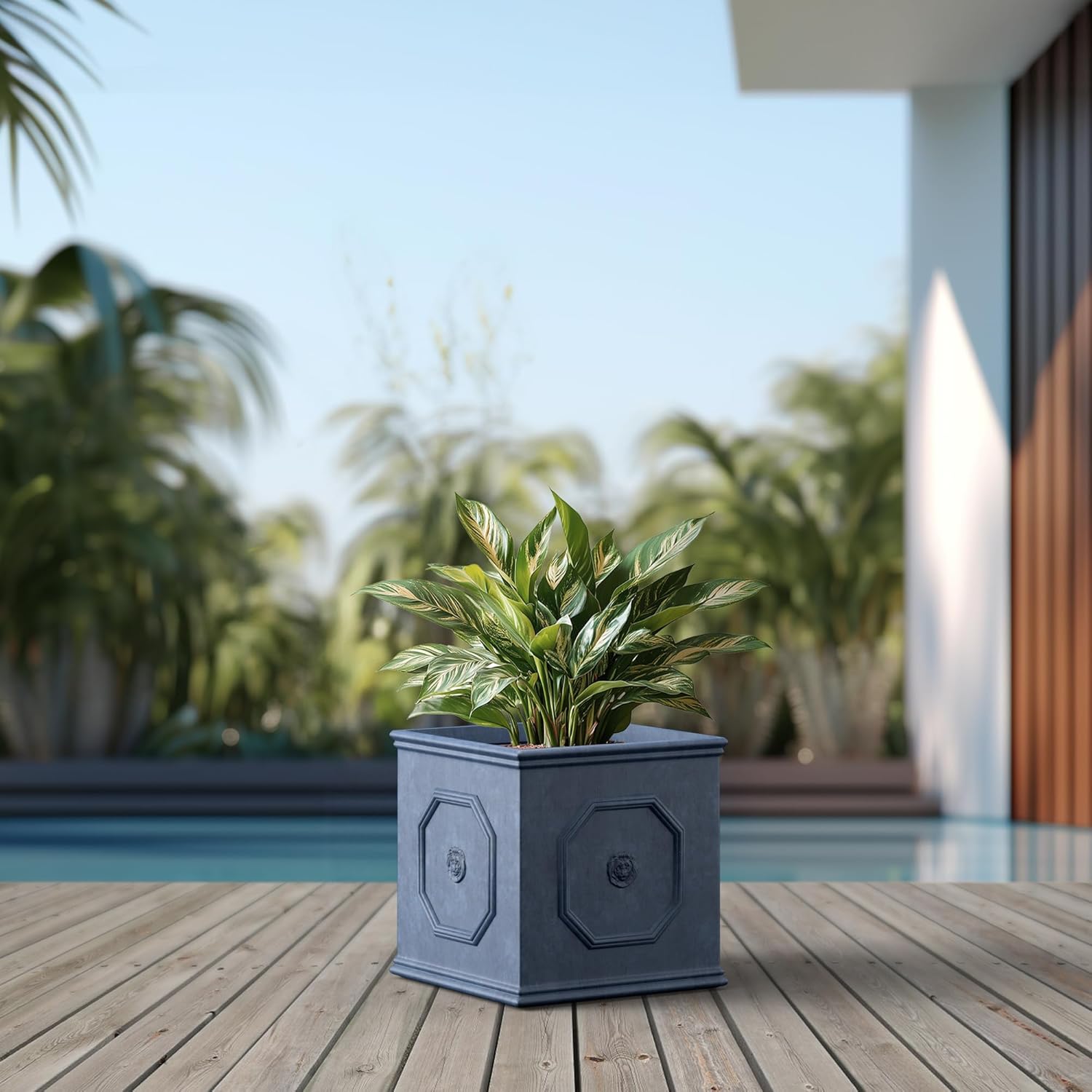 Kante Square Lion Head Concrete Planter, Classic English Style Plant Pot with Drainage Hole and Rubber Plug for Indoor Outdoor Garden Patio Home, 12.6"x12.6"x12.6" Gravel Gray