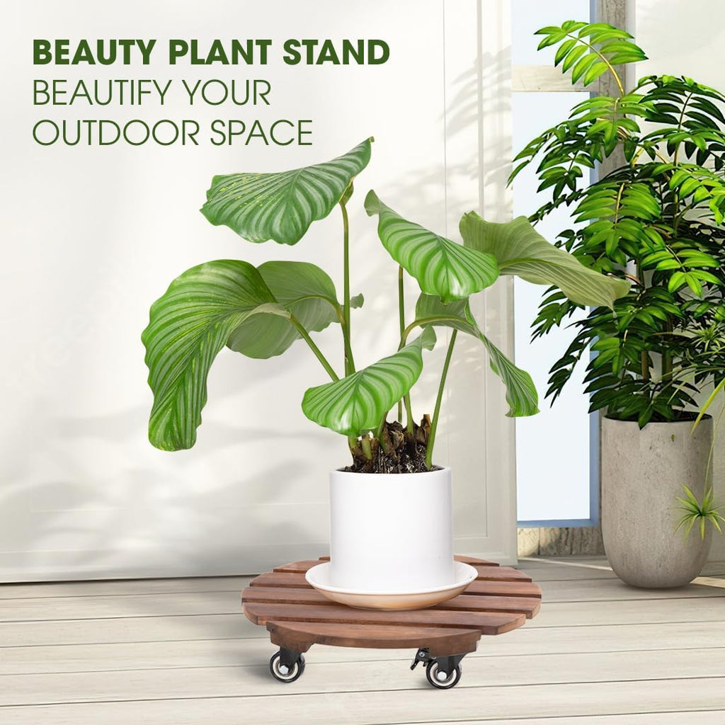 2pack Wood Plant Caddy With Wheels Heavy Duty Red Brown, 264 Lbs Capacity, 12 Inch Acacia Hardwood Plant Dolly, Plant Stand with 360° Lockable Wheels for Plant Pots, Heavy Objects Hauling